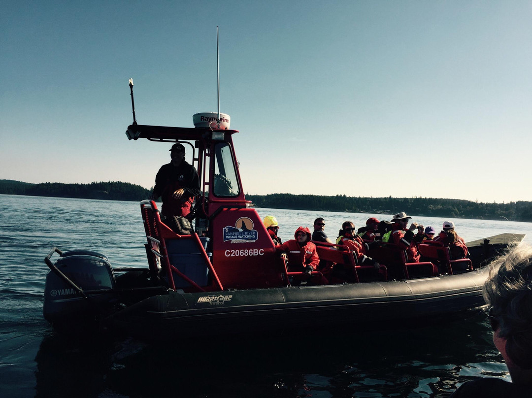Campbell River Whale Watching and Adventure Tours-坎贝尔里弗必去景点