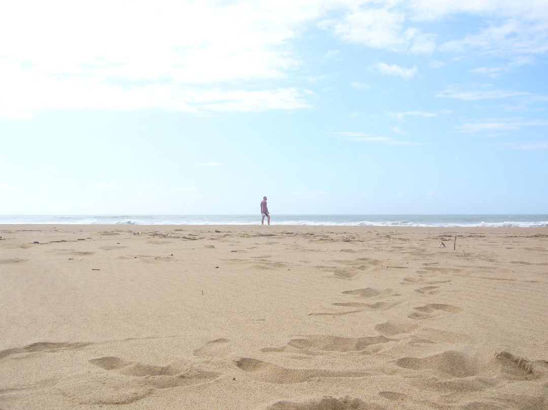 Umlalazi Nature Reserve-马图纪尼必去景点