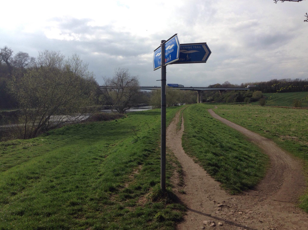 Sprotborough Canalside景点图片
