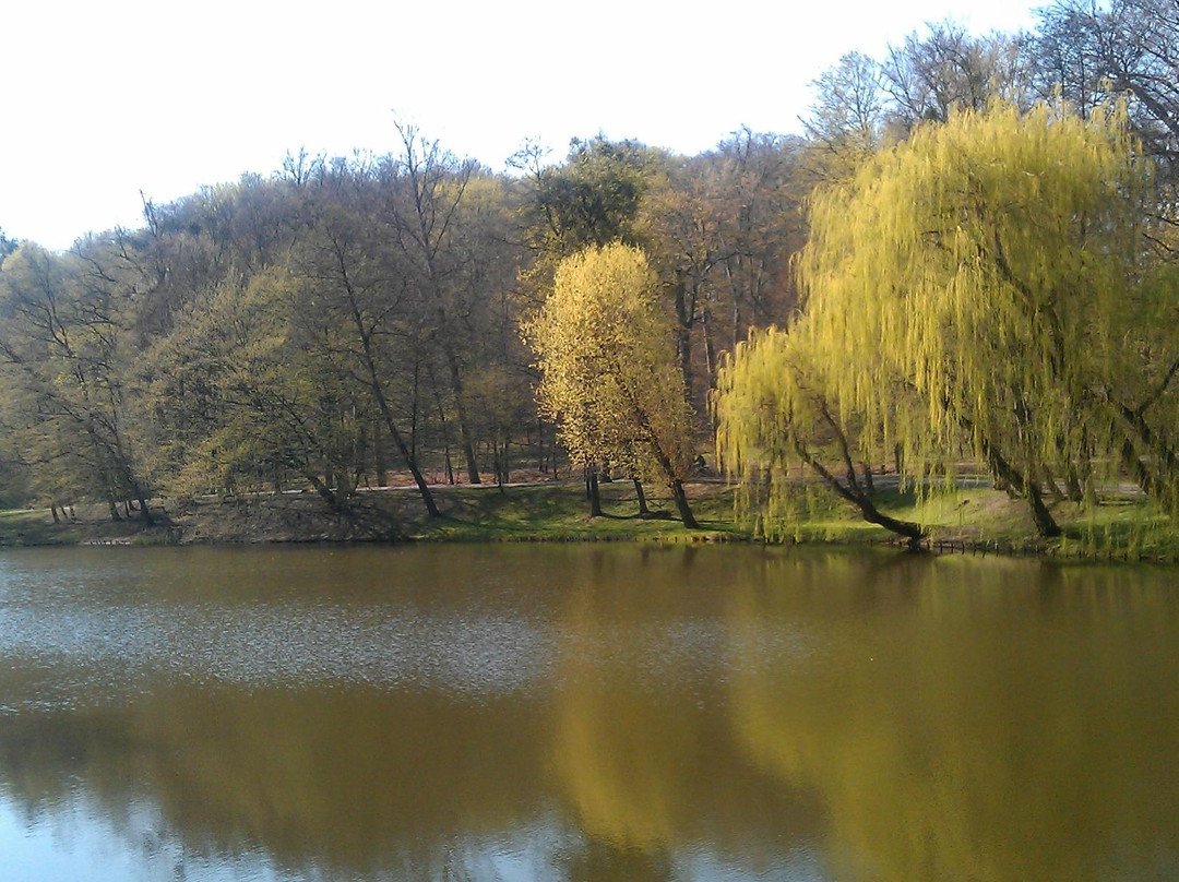 Orunski Park景点图片