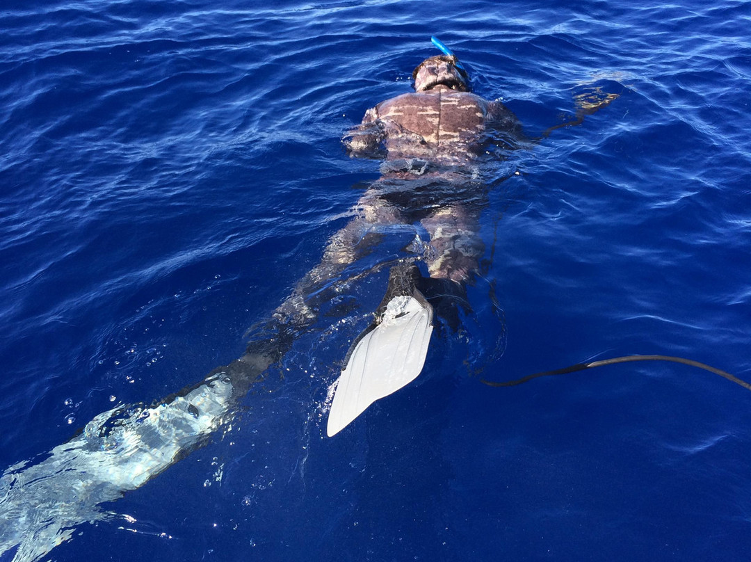 South Maui Spearfishing - Private Excursions-卡胡卢伊必去景点