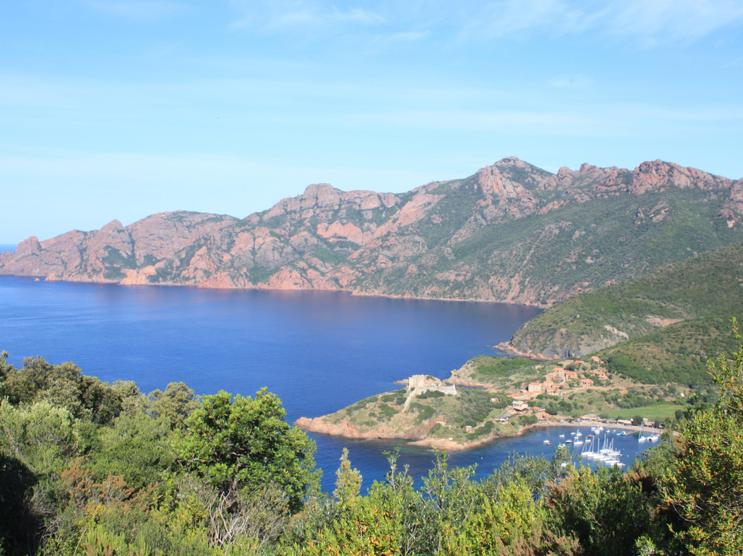 Bateau Promenade Explorateur-Porto必去景点