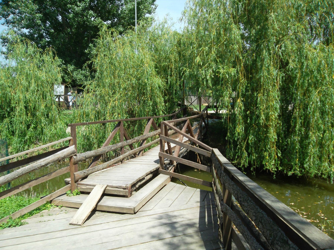 The Natural Sciences Museum Complex景点图片