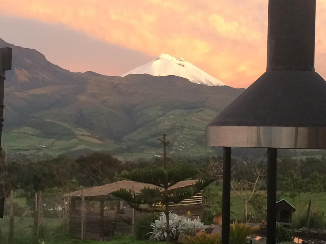 Hosteria Sur Campestre主图