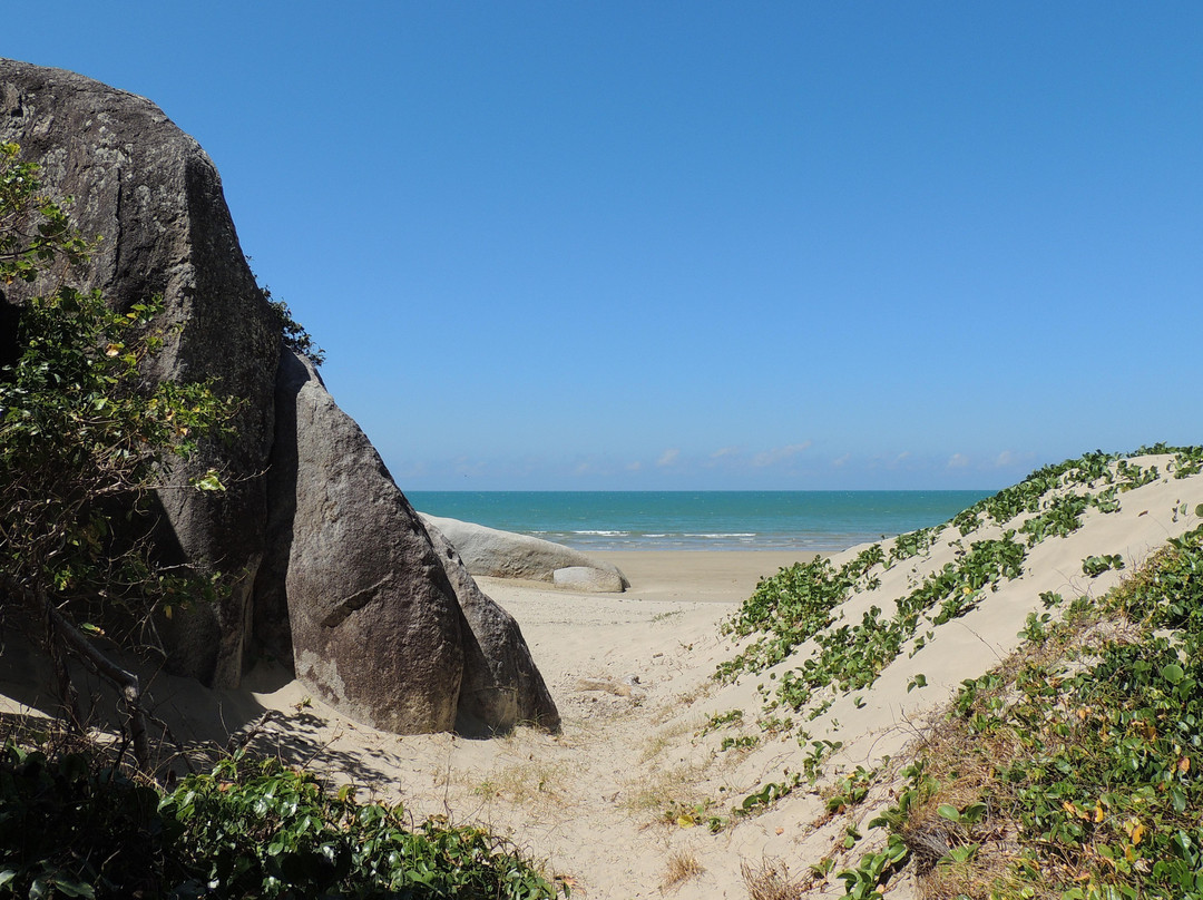 Finch Bay-库克敦必去景点