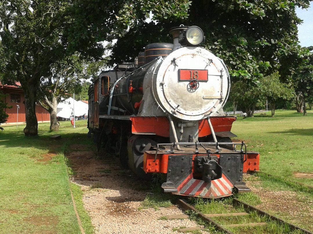 Estrada De Ferro Madeira Mamore