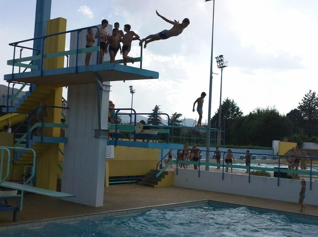 Centre Aquatique Roger Julian-米约必去景点