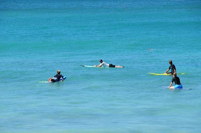 Burkie Surf School-基督城必去景点
