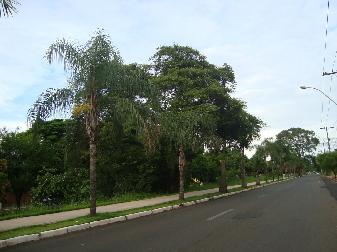Ciclovia da Avenida Comendador Alfredo Maffei-Sao Carlos必去景点