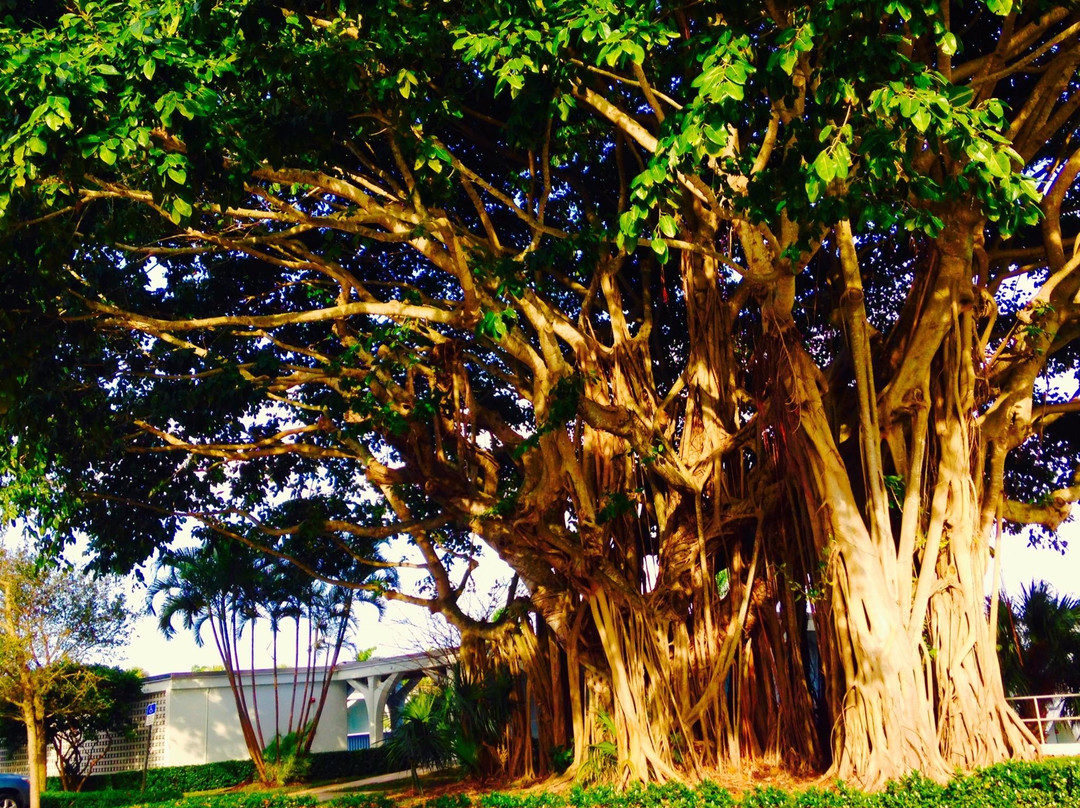 Our Lady Of Florida Spiritual Center-North Palm Beach必去景点
