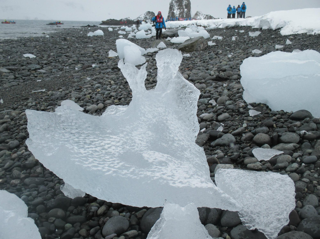 Arctowski Polish Antarctic Station-King George Island必去景点
