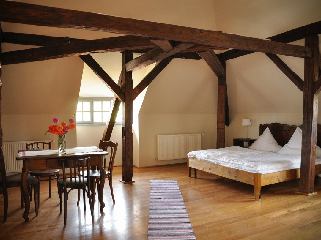 Şoarş酒店住宿-Cincsor Transylvania Guesthouses