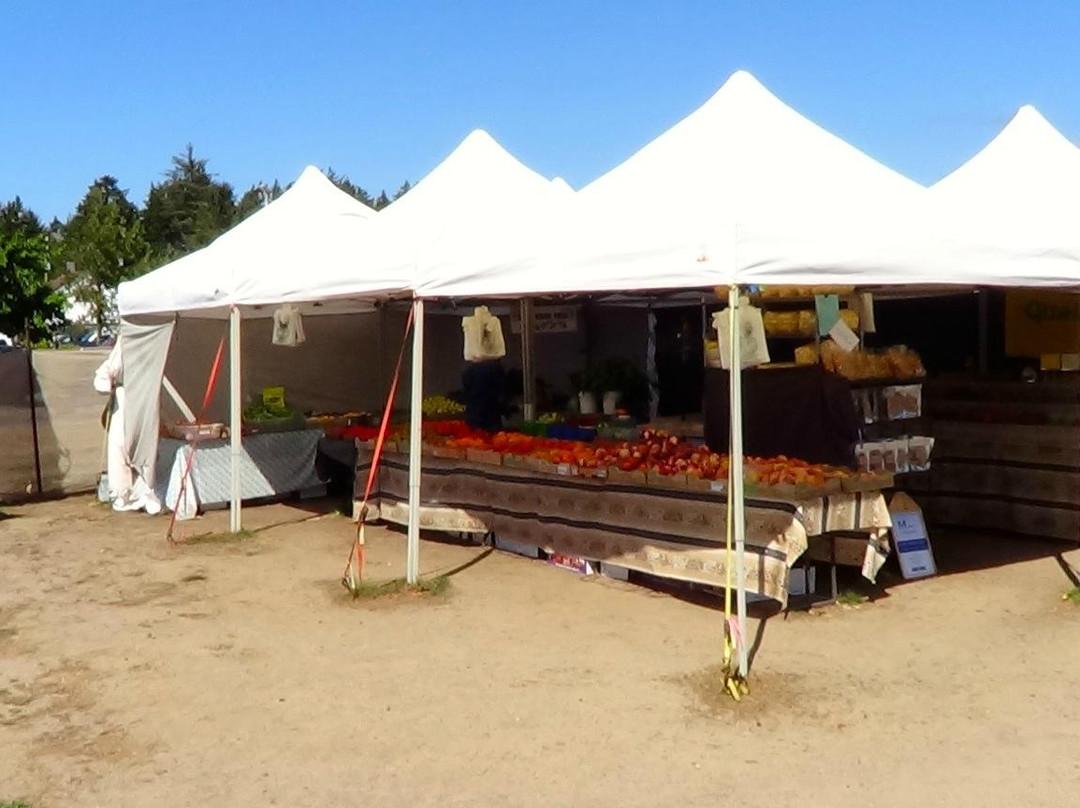 Florence Oregon Boardwalk Market-弗洛伦斯必去景点