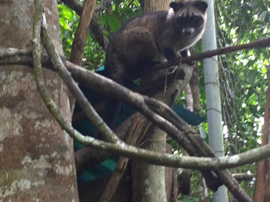 Batu Mentas-勿里洞岛必去景点