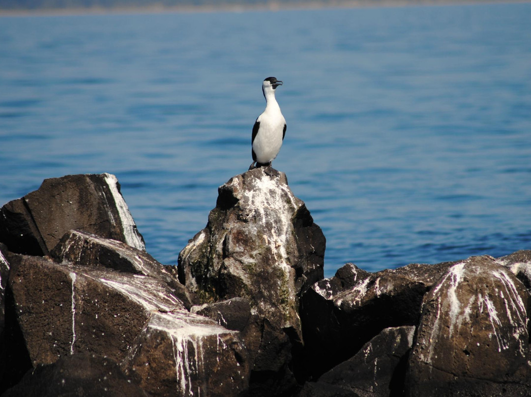 Pope's Eye-皇后崖必去景点