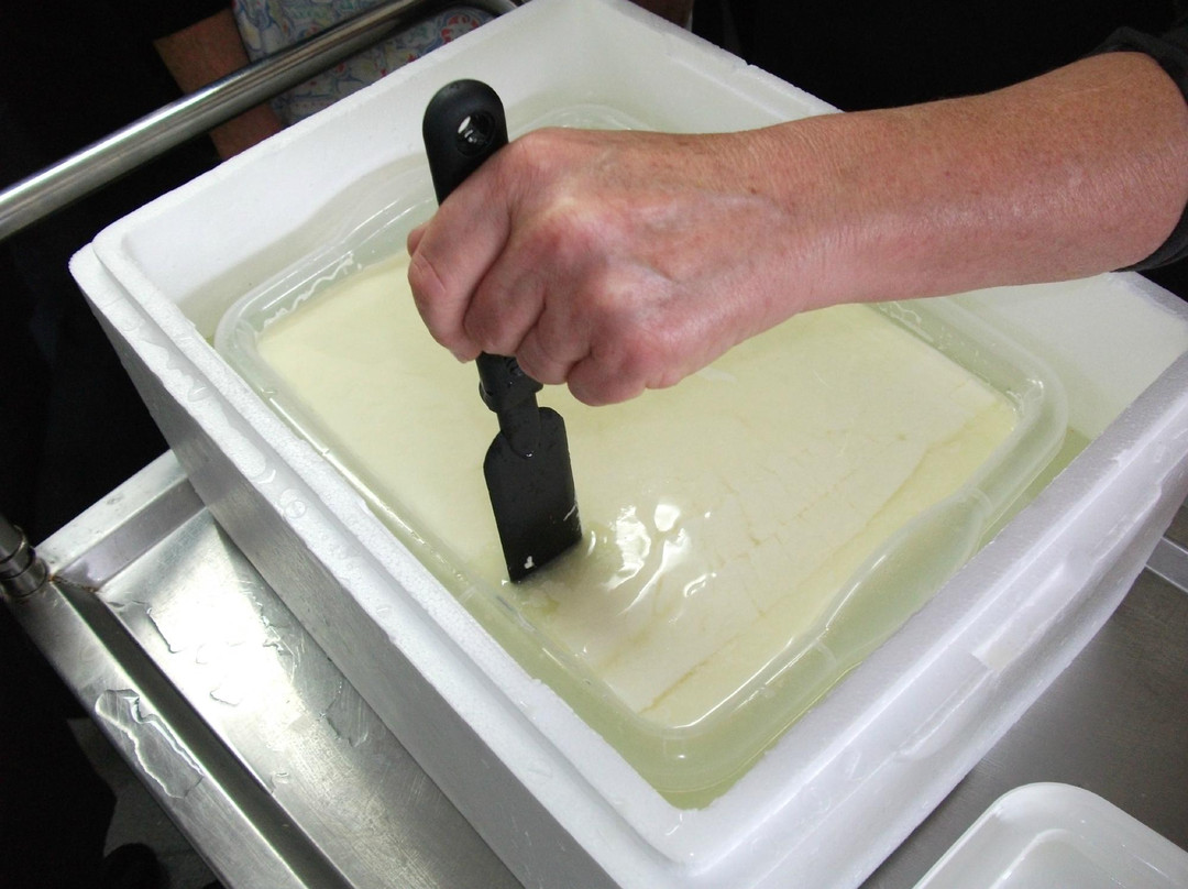 The New Zealand Cheese School-普塔鲁鲁必去景点