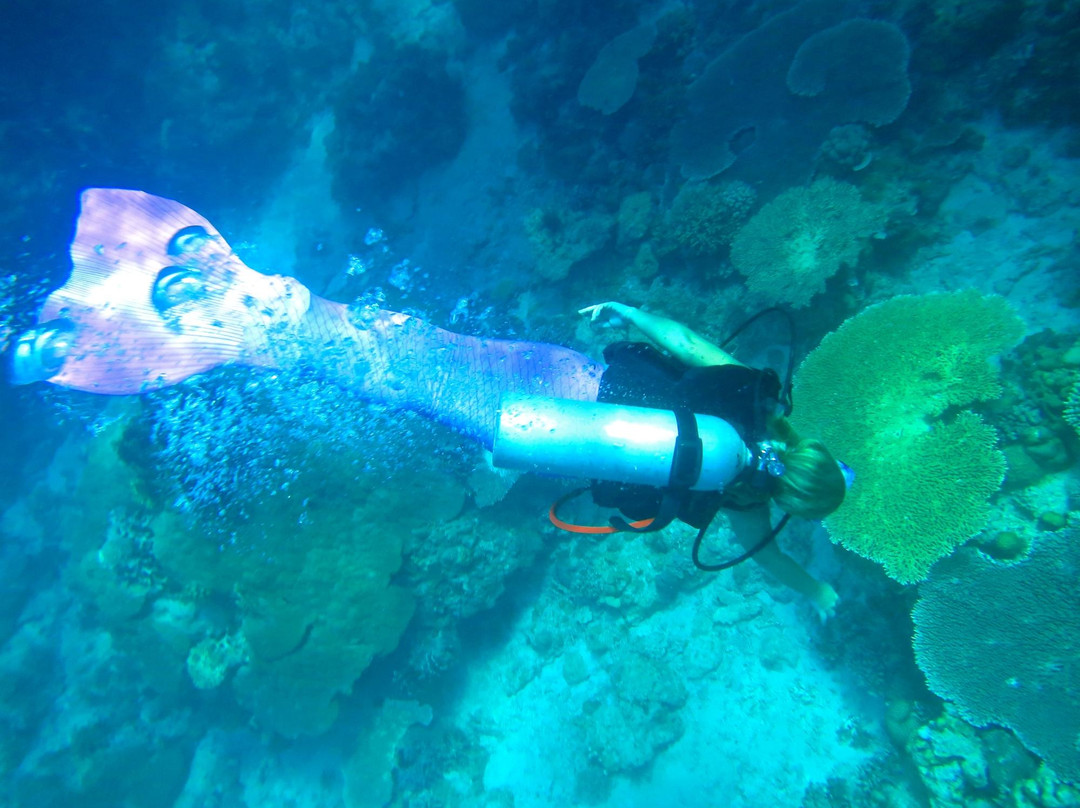 Philippine Mermaid Swimming Academy-长滩岛必去景点
