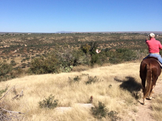 Pusch Ridge Stables-图森必去景点