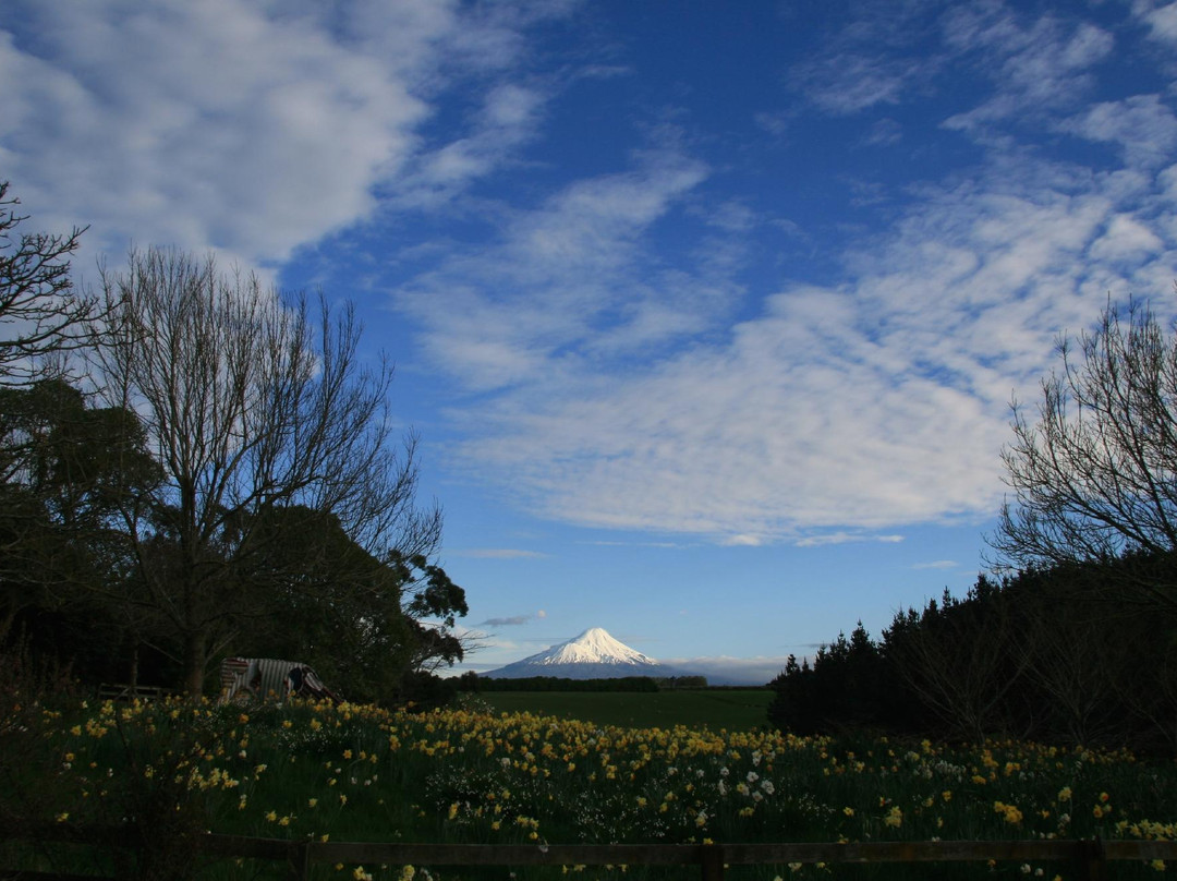 Puketarata Garden景点图片