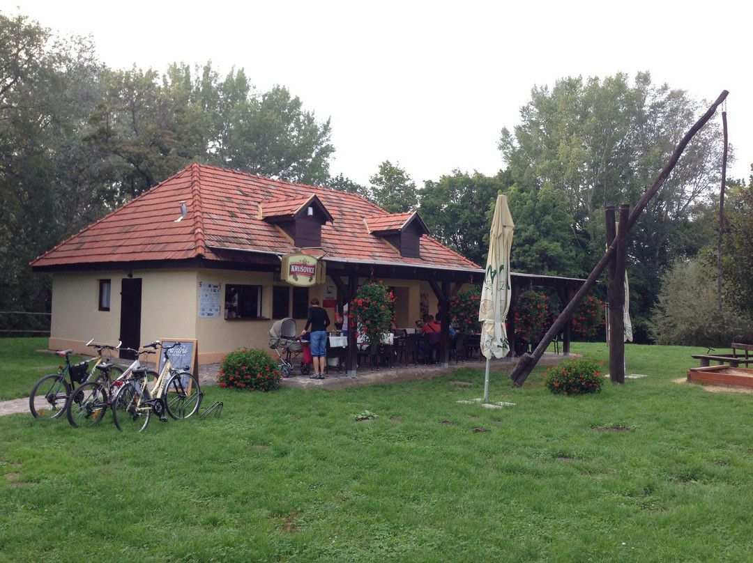 Nitra旅游景点-Mestský Park na Sihoti