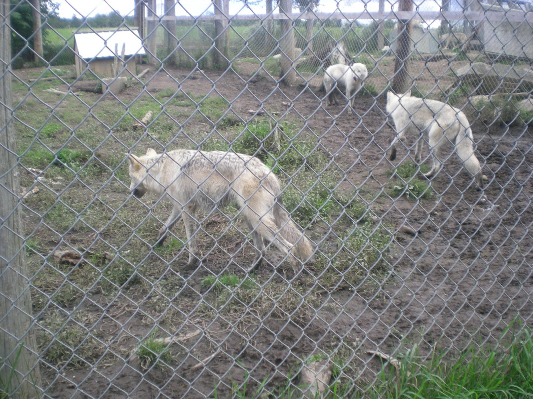 Fauna Pavilon-Stratford必去景点