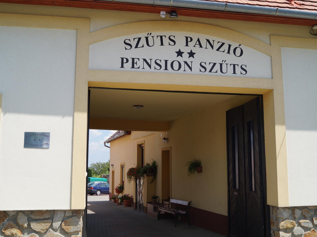 Pension Szuts主图