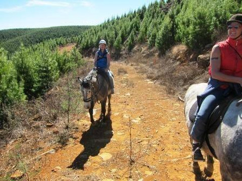 Stormy Hill Trails & Tails-Boston必去景点
