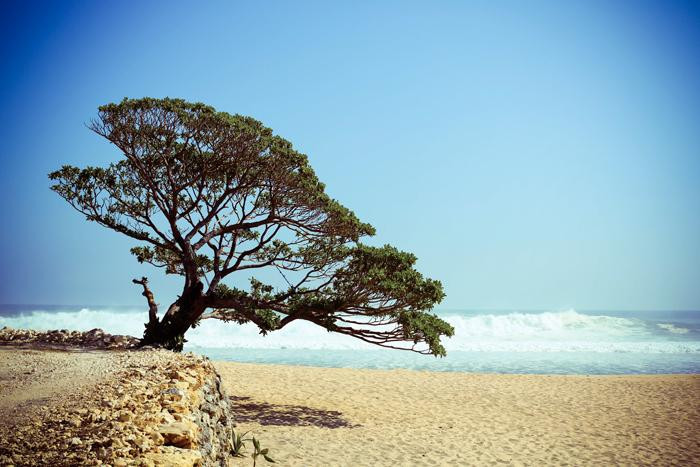 Pok Tunggal Beach-基杜尔山必去景点