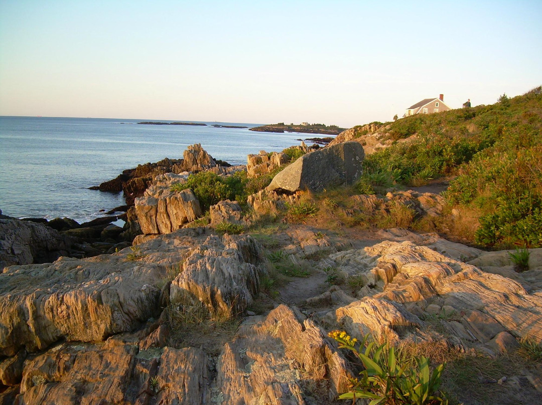 奥尔岛酒店住宿-Driftwood Inn and Cottages