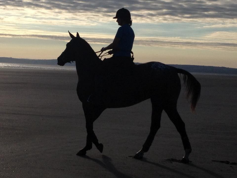 Pembrey Park Riding Centre景点图片