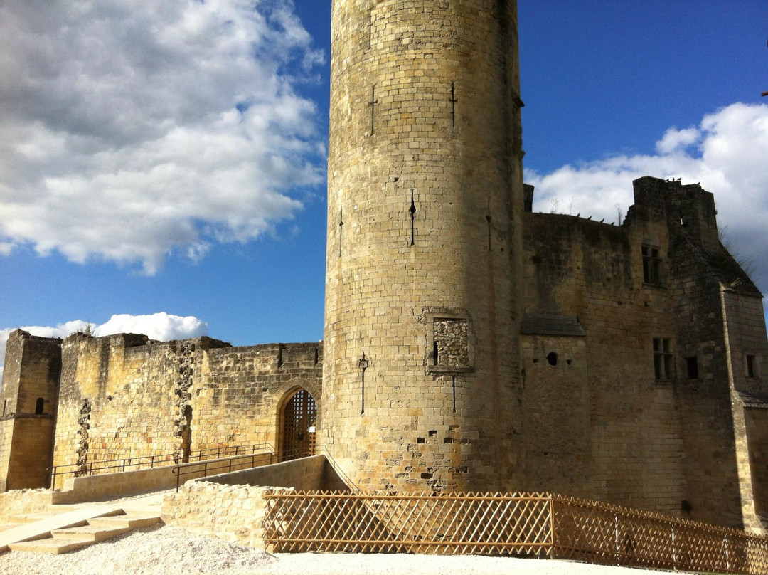 Chateau de Rauzan景点图片
