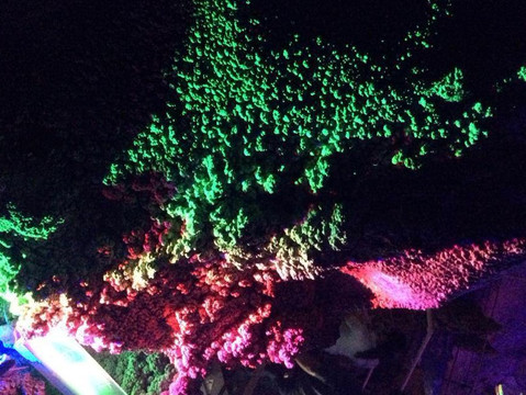 崆山白云洞-临城县必去景点