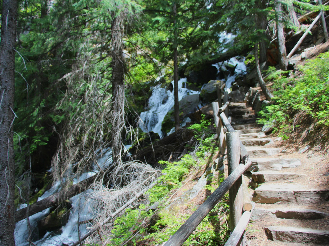 Wenatchee National Forest景点图片