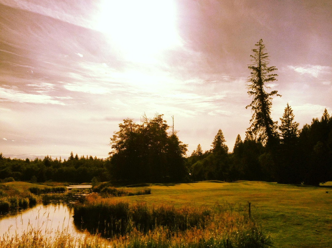 Myrtle Point Golf Club-鲍威尔里弗必去景点