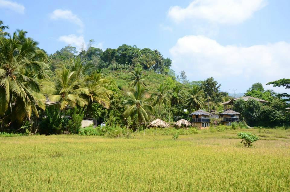 Deniyaya酒店住宿-等尼亚雅辛哈拉加德尼亚国家汽车旅馆