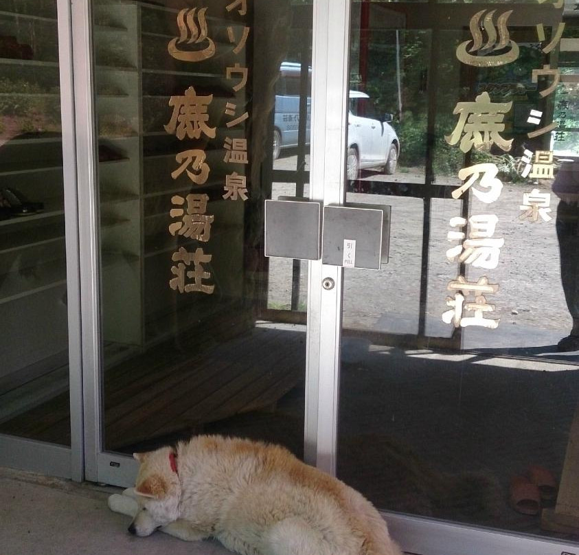 Osoushi Onsen Shikanoyuso主图