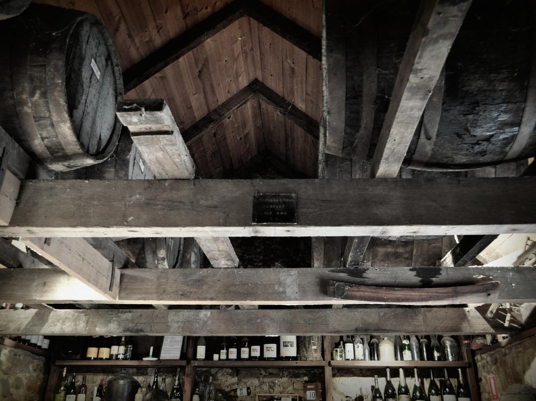 Cellar Door Tours-阿德莱德必去景点