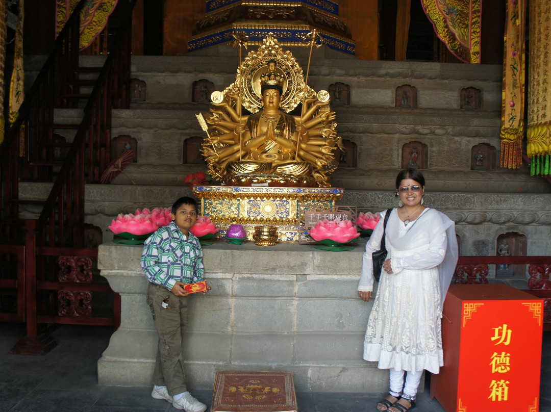 戒台寺古松-北京市必去景点