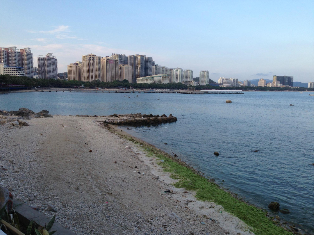 三亚热带天堂（鸟巢）景点图片