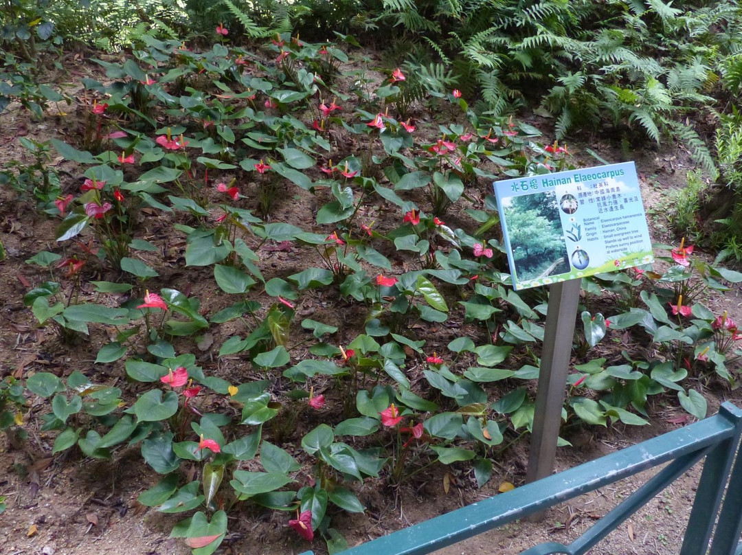 遮打花园-香港必去景点
