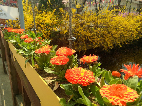 Exclusive Tour Korea - Private Day Tours-首尔必去景点