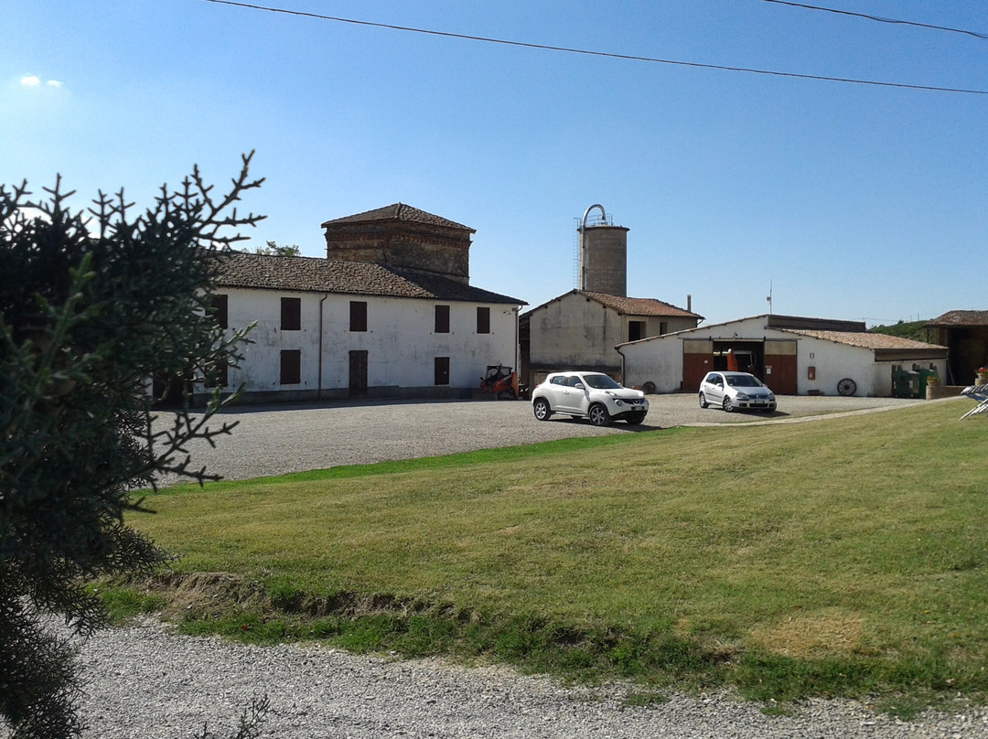 Agriturismo Cella di Montalto主图