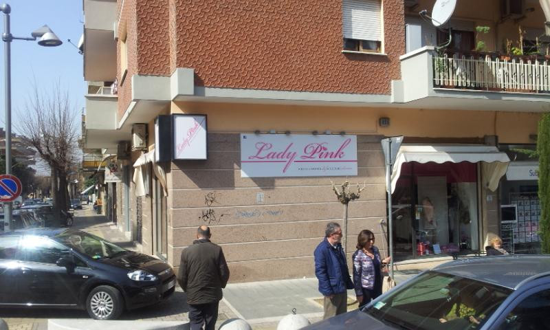 Villanova旅游景点-Lady Pink