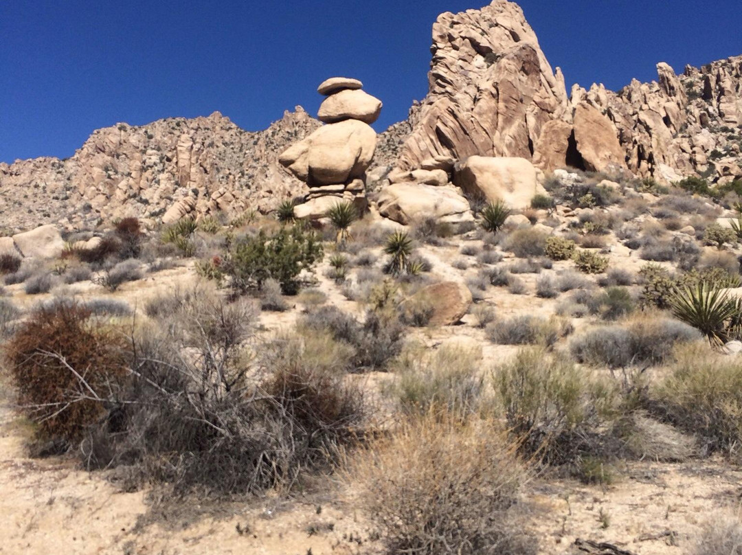 Christmas Tree Pass-拉芙琳必去景点