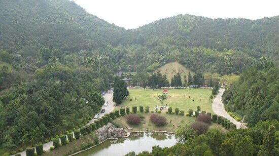 仙湖植物园-深圳市必去景点