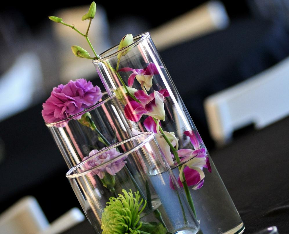 Angelstone Tournaments-Erin必去景点