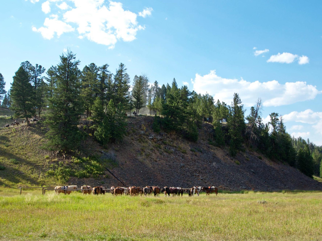 Old West Dinner Cookout-黄石国家公园必去景点