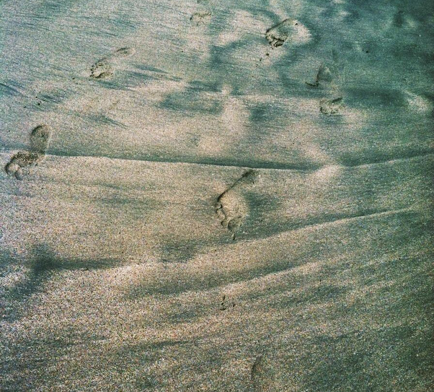Playa El Palmar景点图片