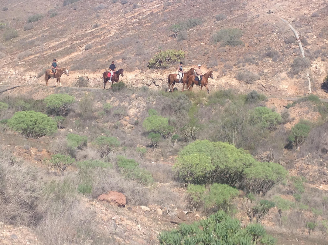 The Saddle Club Gran Canaria景点图片