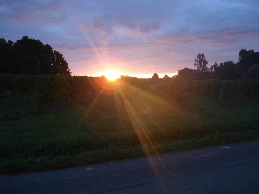 Aire de stationnement Camping-cariste Chateau Saint Ahon